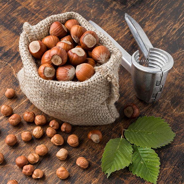 Shelled Hazelnuts